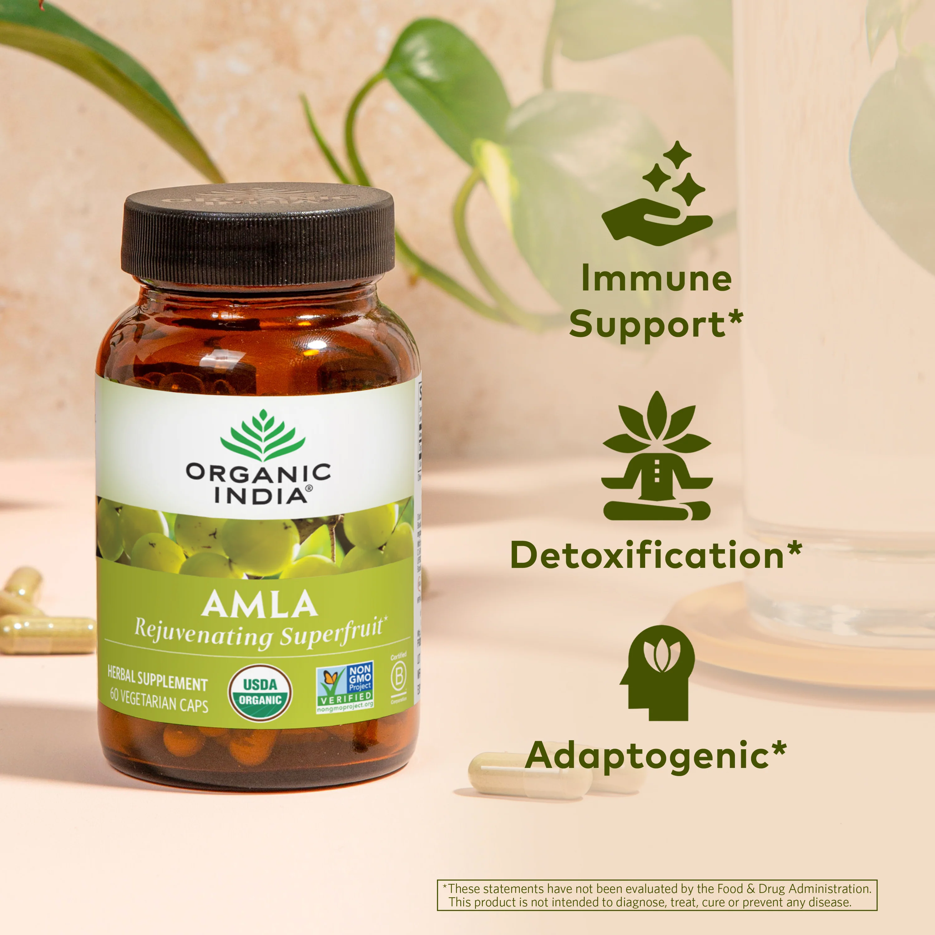 Amla Capsules - Image 3