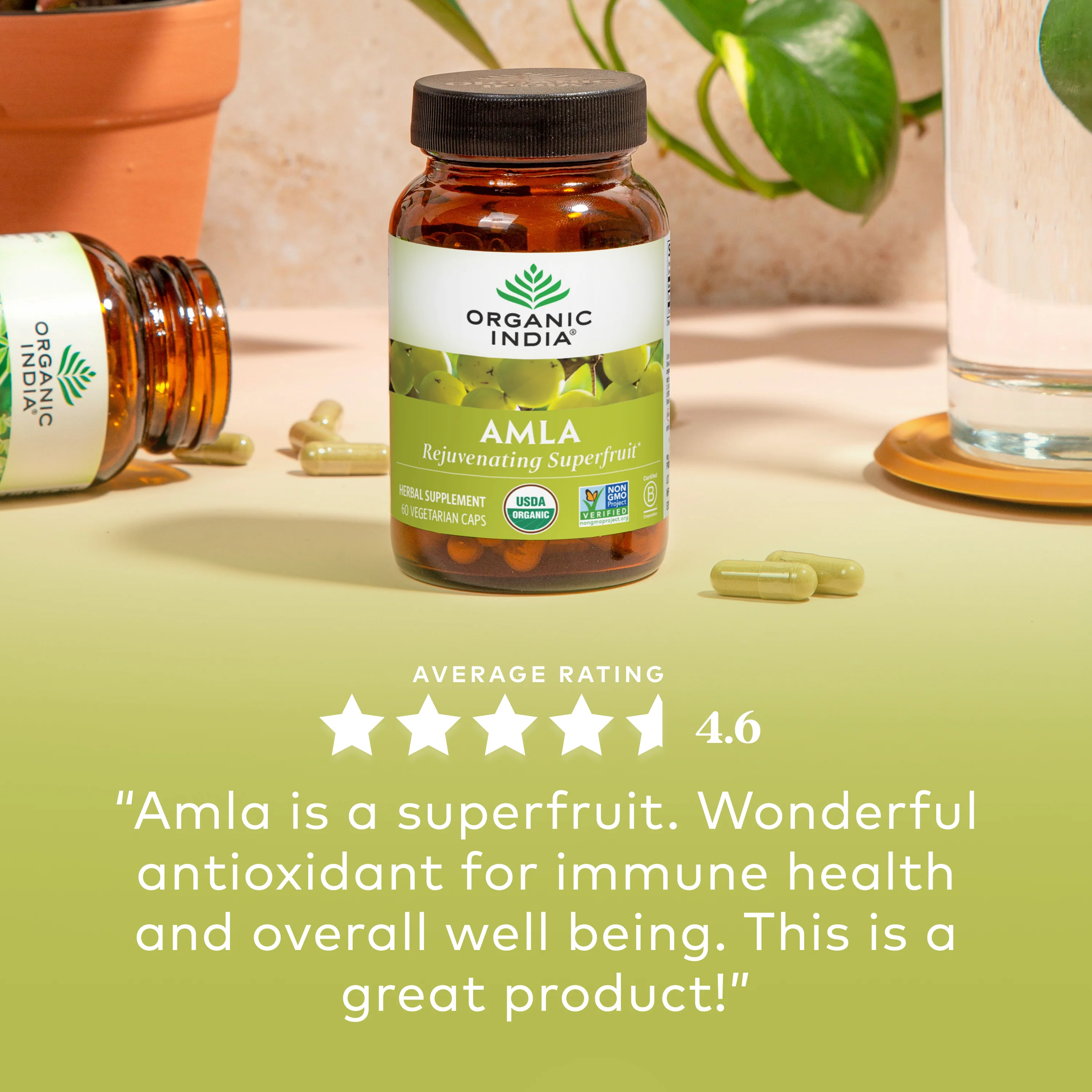 Amla Capsules - Image 4