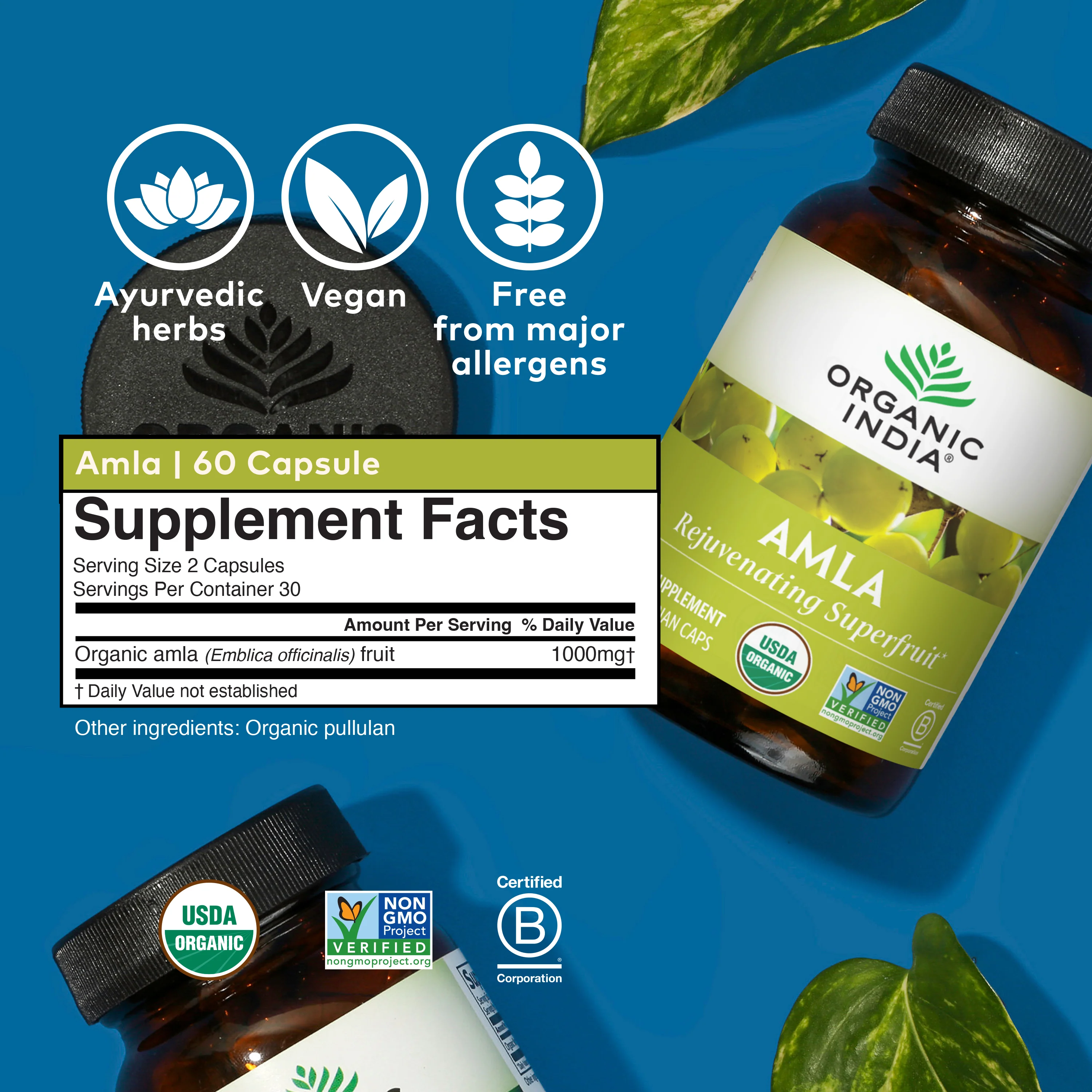 Amla Capsules - Image 7