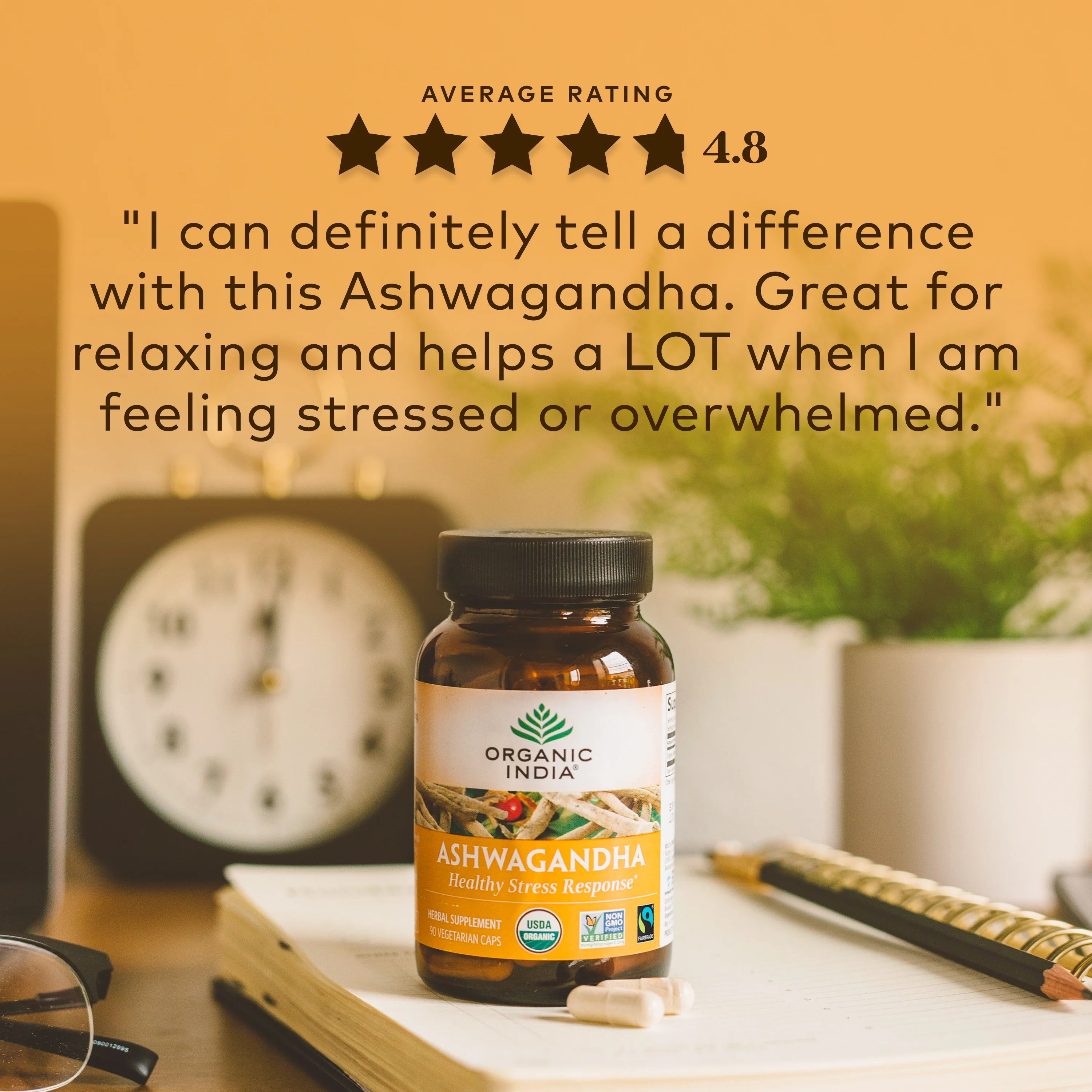 Ashwagandha Root Capsules - Image 21
