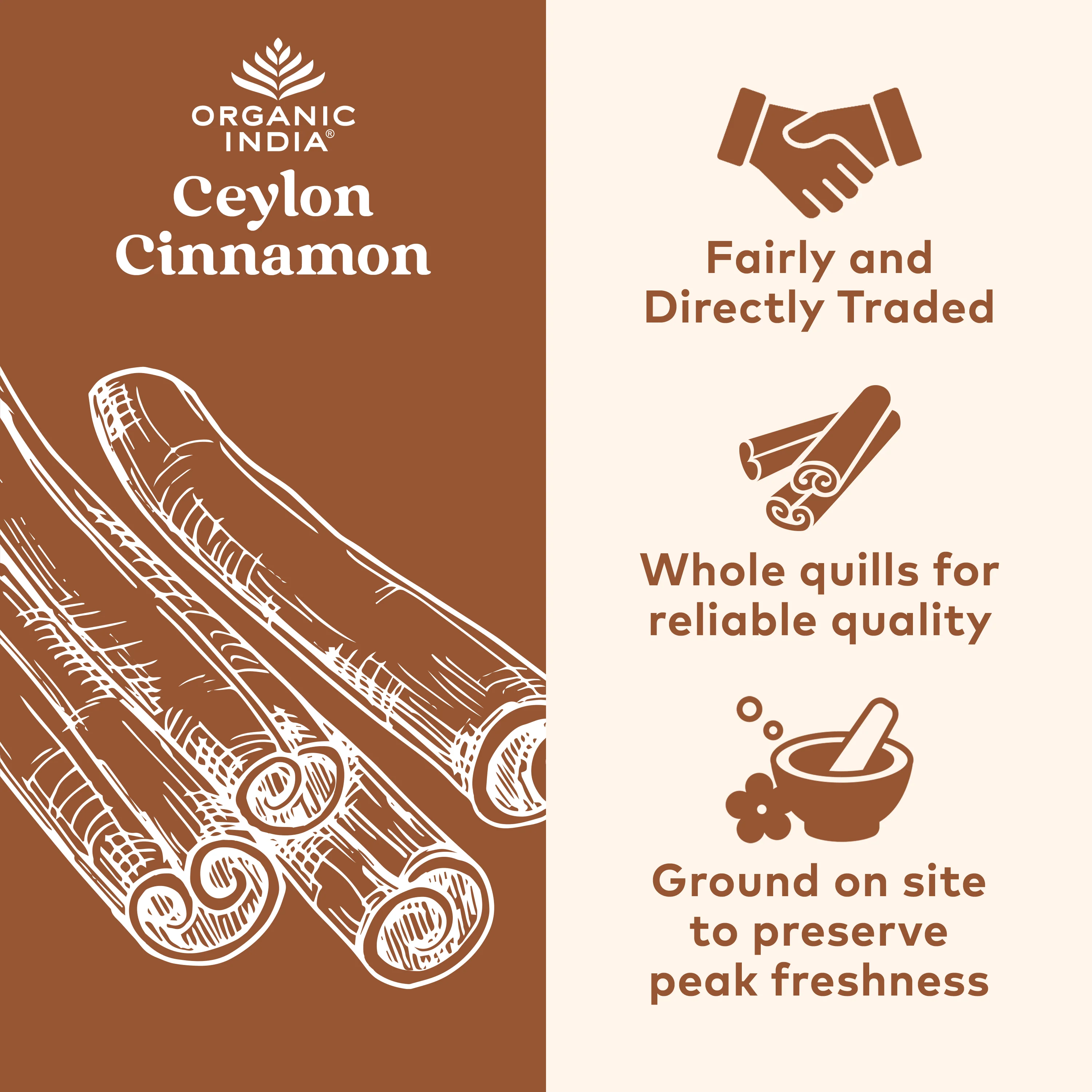 Ceylon Cinnamon Capsules - Image 2
