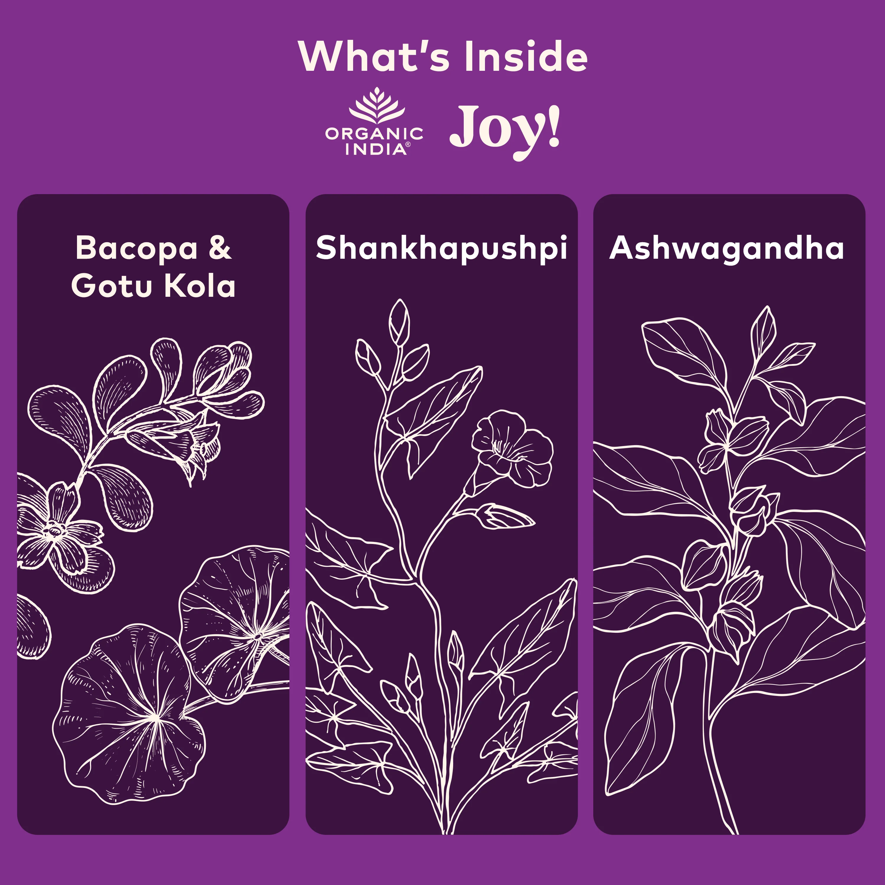 Joy! Capsules - Image 3