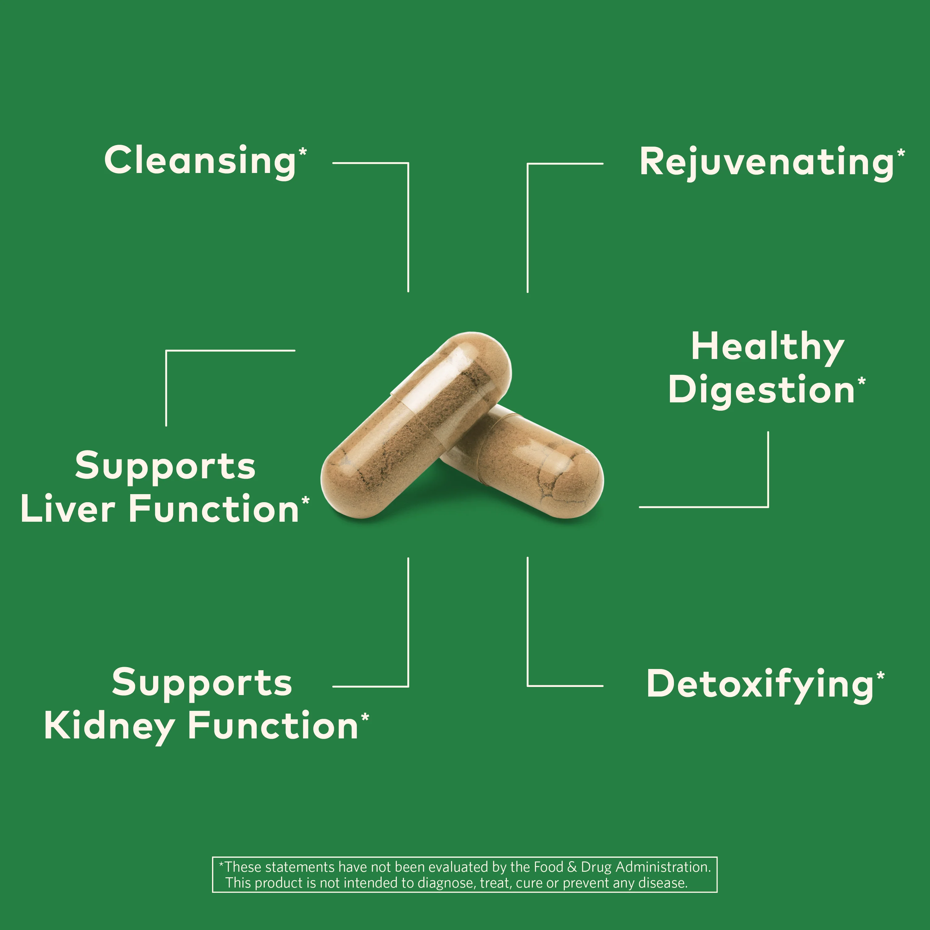 Liver Kidney Capsules - Image 4