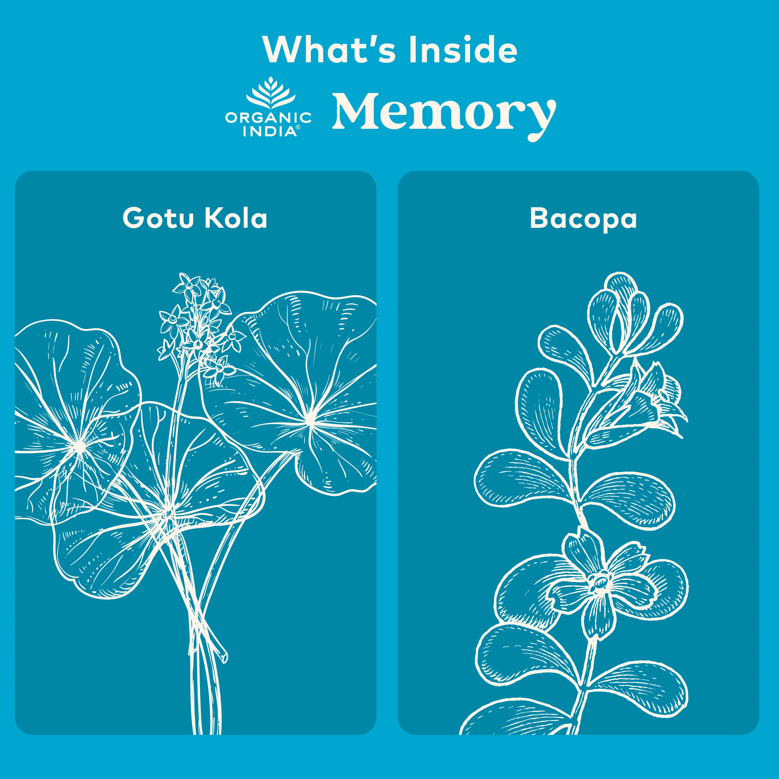 Memory Capsules - Image 4