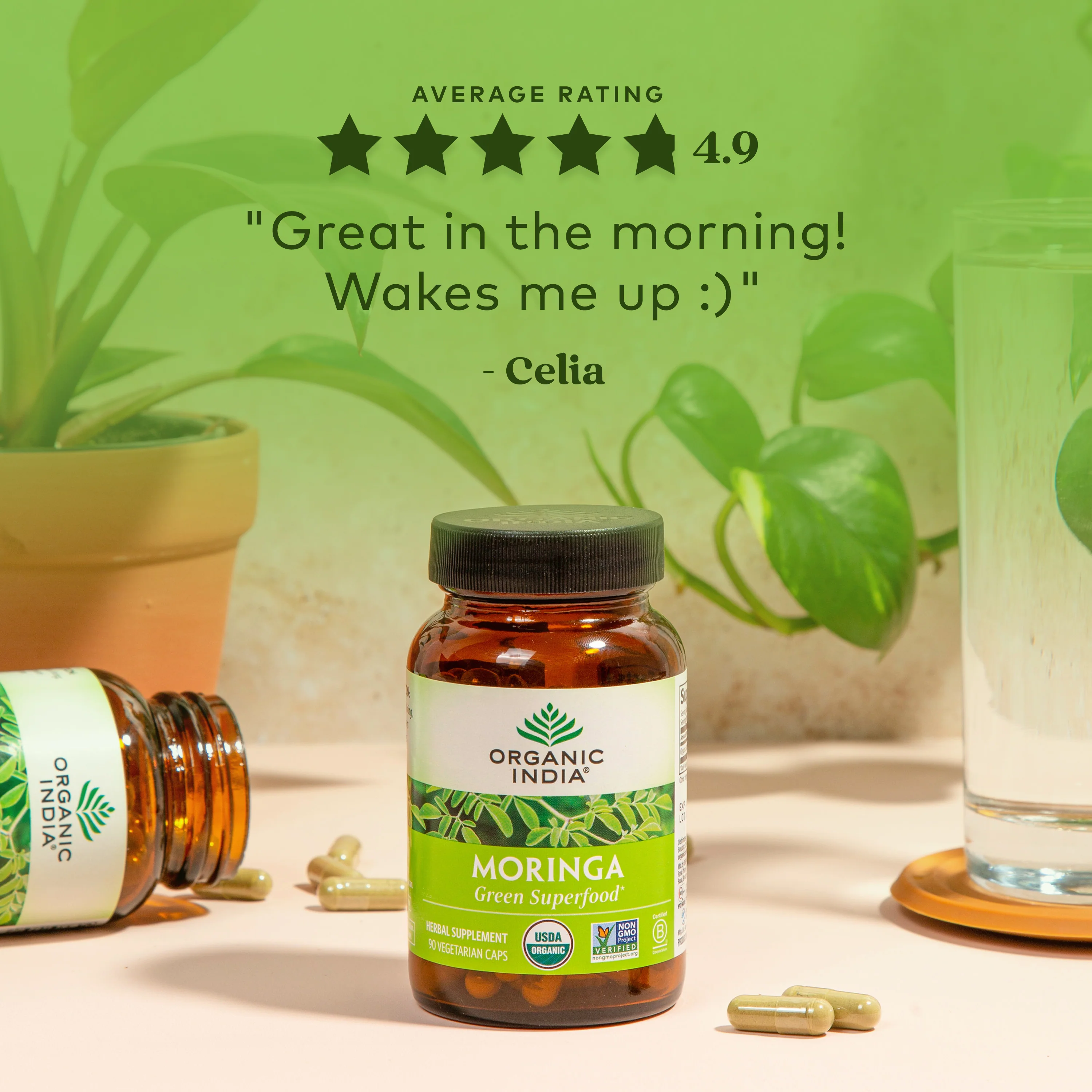 Moringa - Image 12