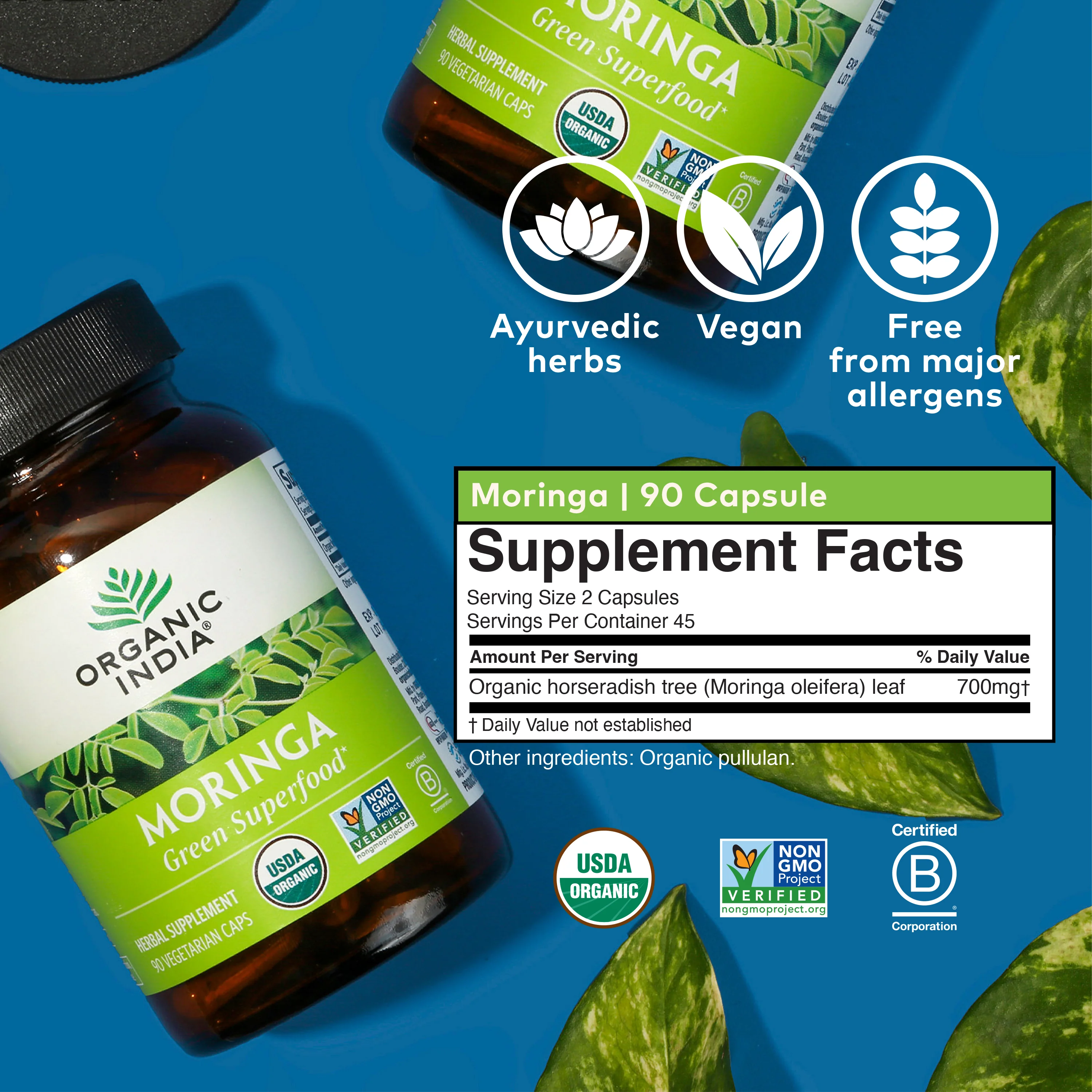 Moringa - Image 15