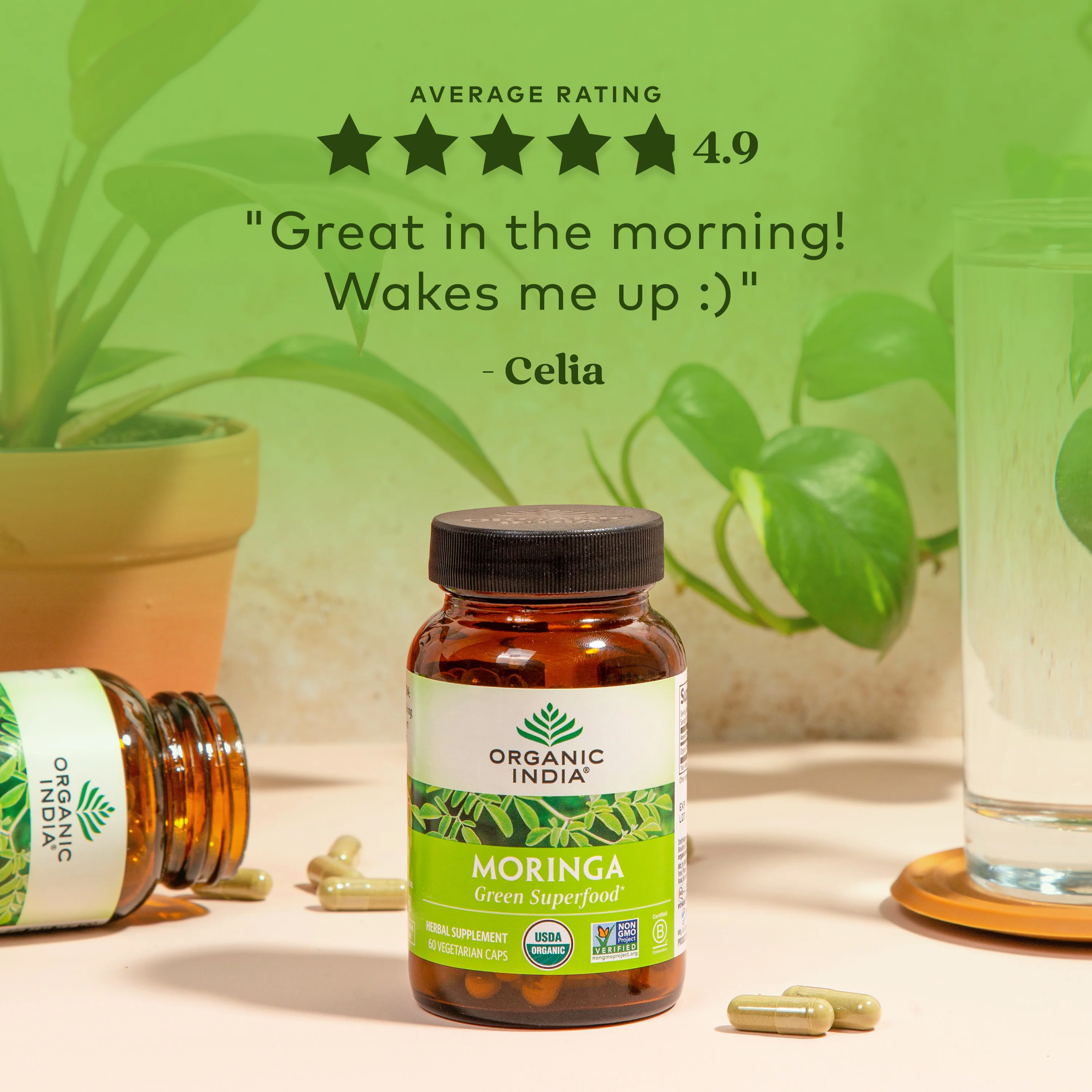 Moringa - Image 4