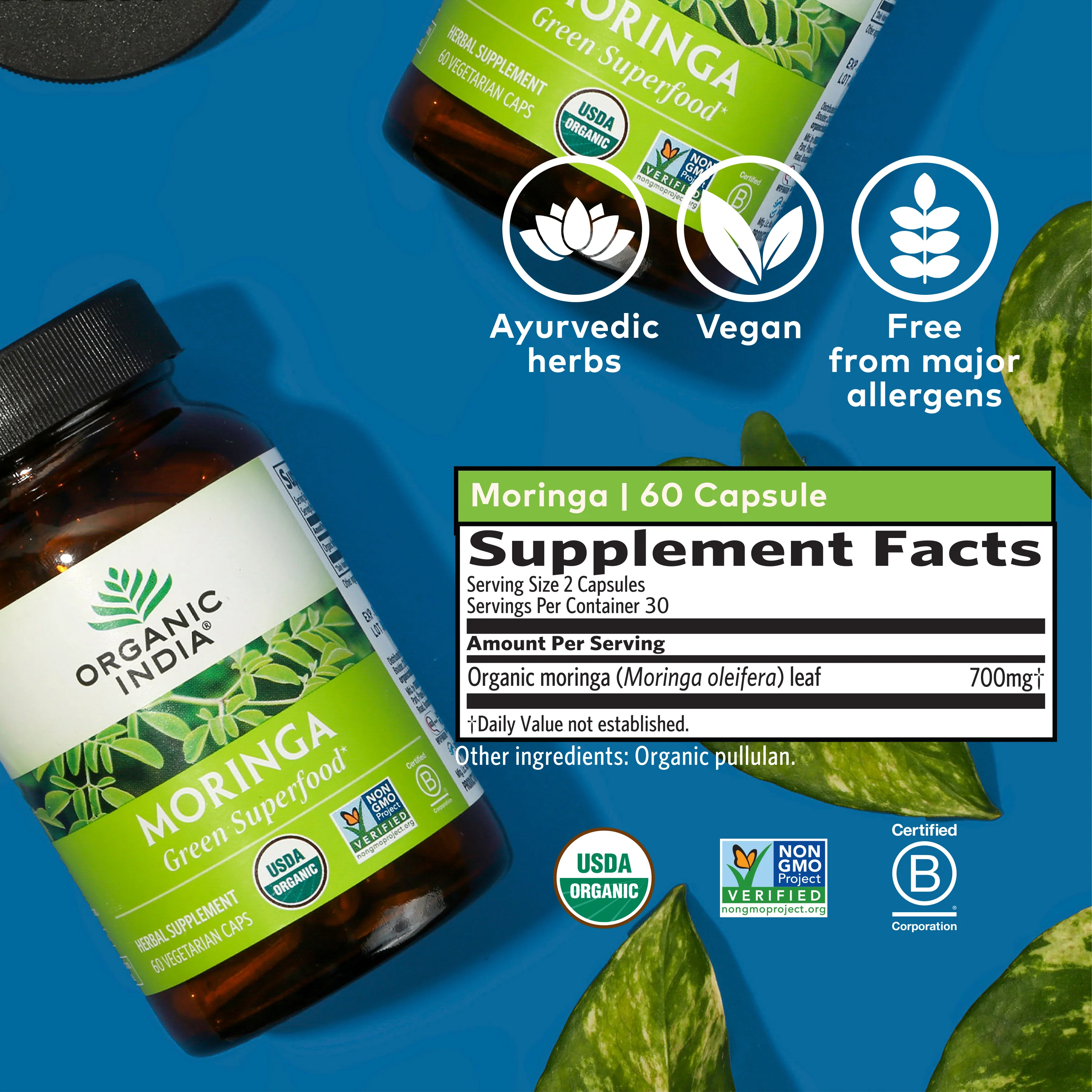 Moringa - Image 8