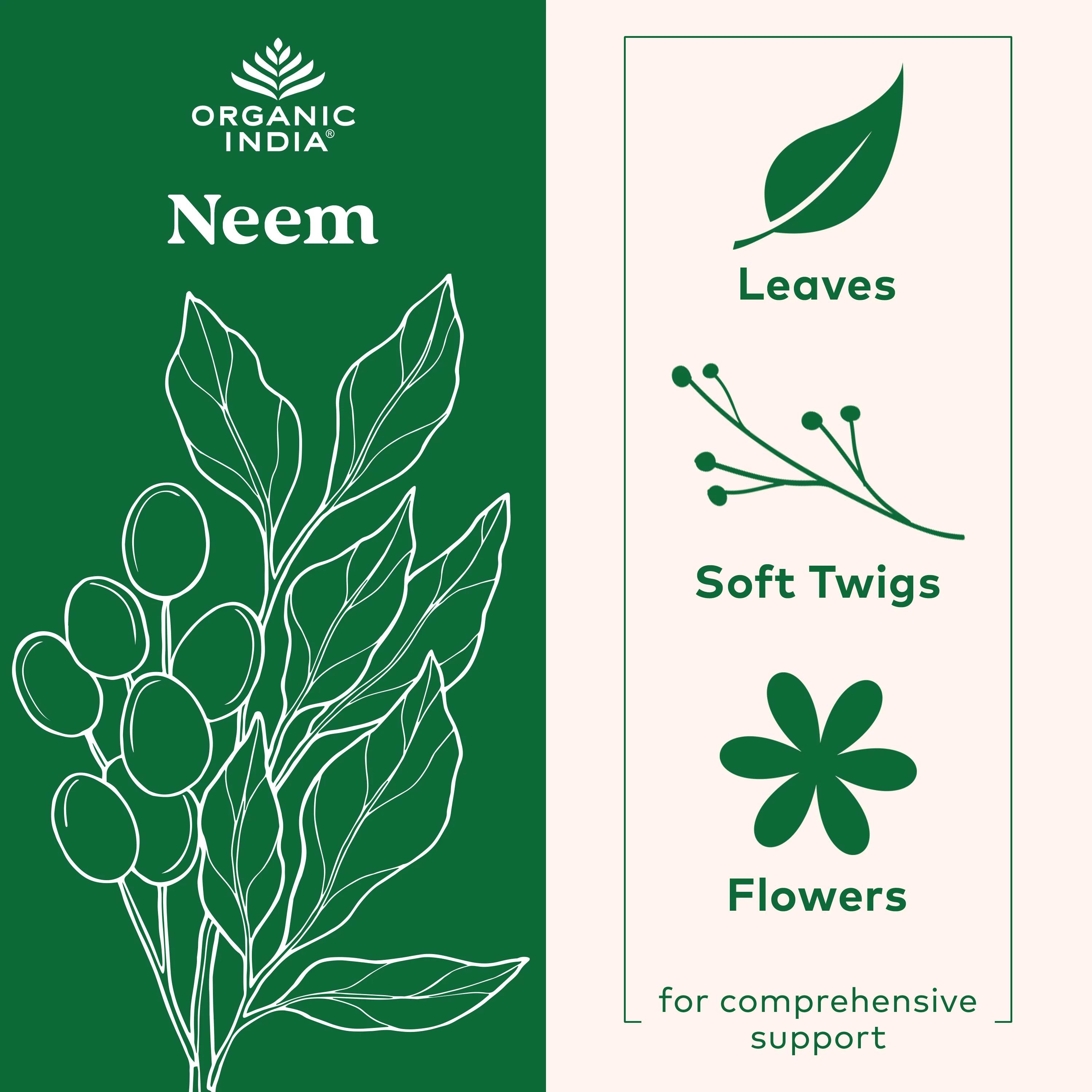 Neem Capsules - Image 9