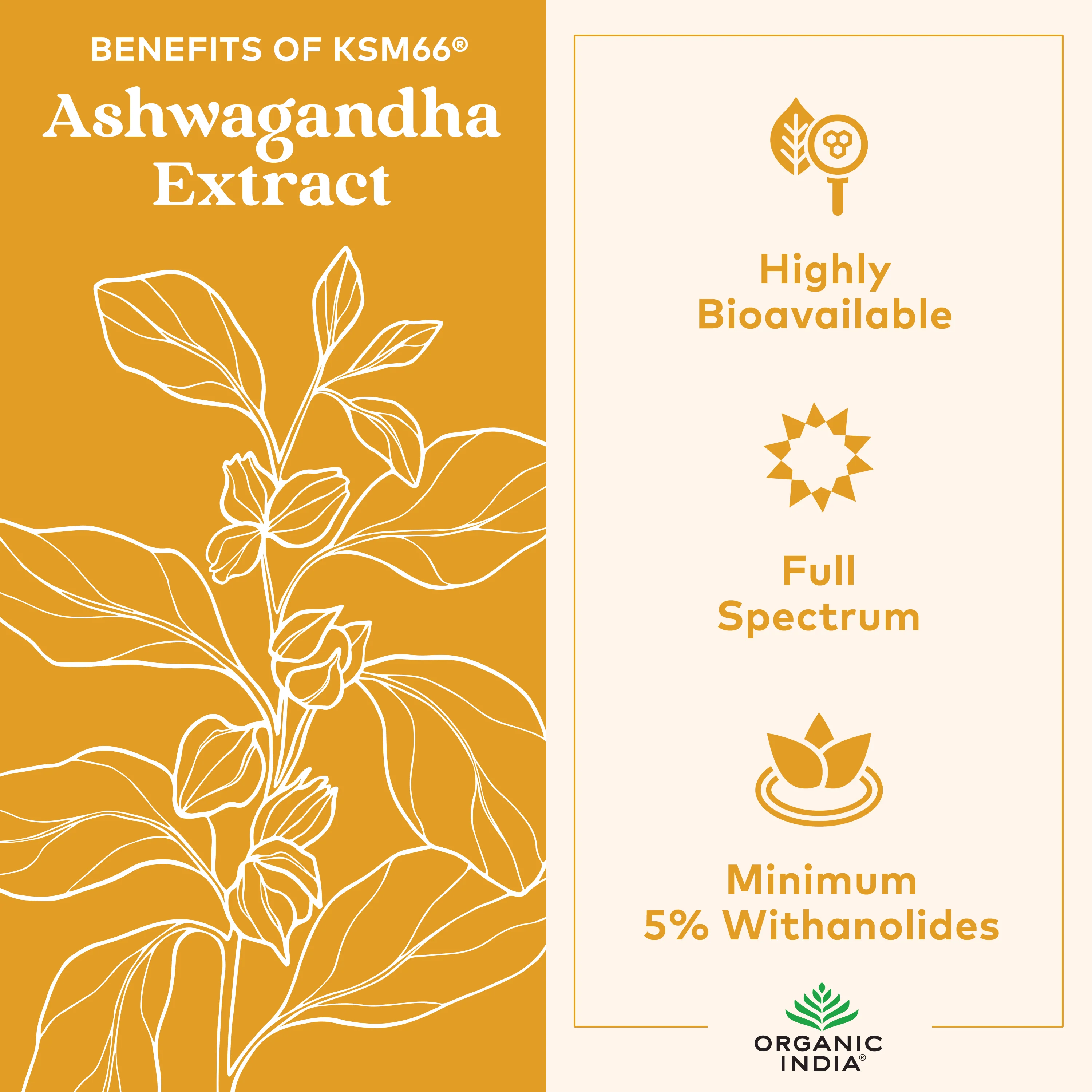 Organic Ashwagandha Gummies - Image 5