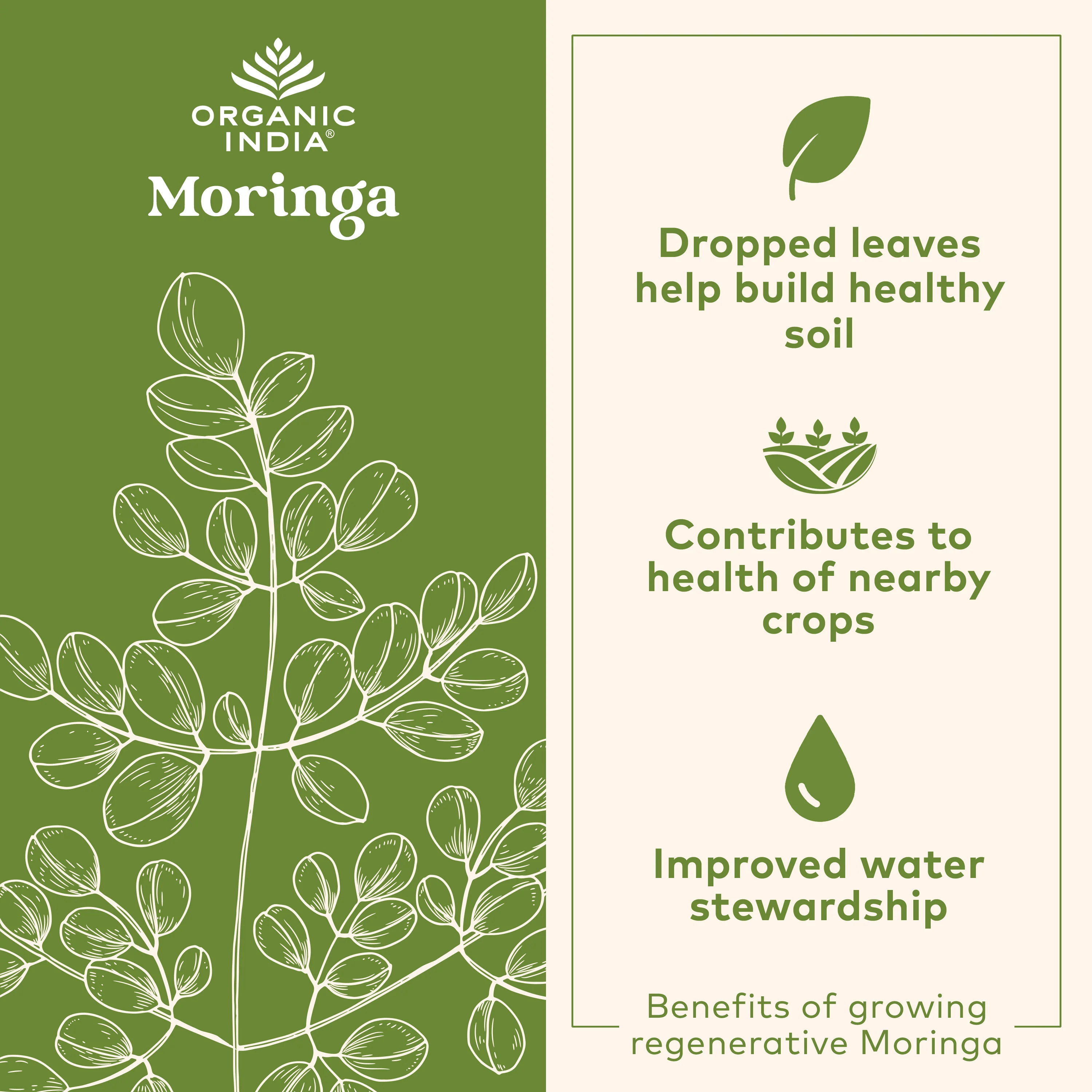 Organic Chocolate Moringa Latte - Image 4