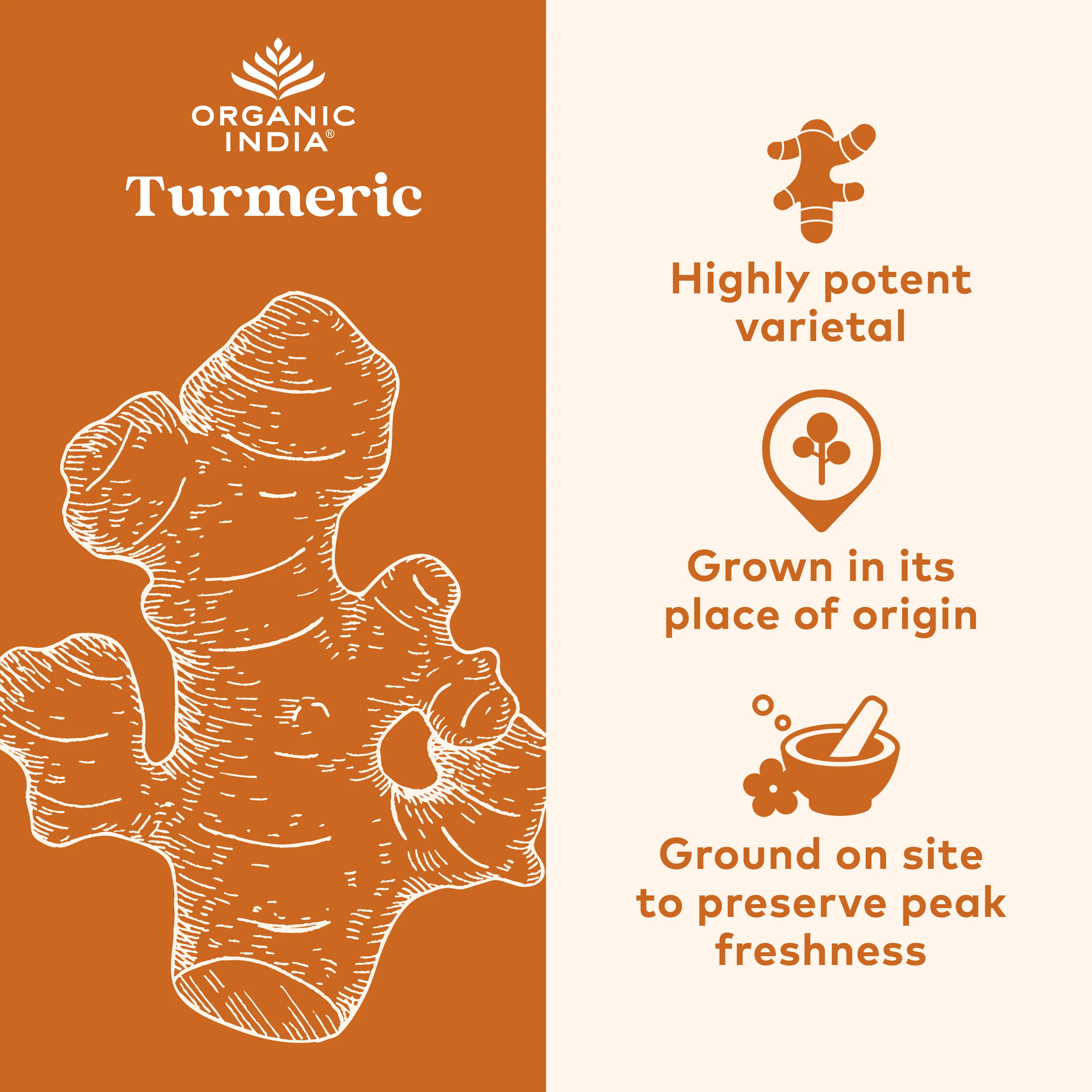Organic Spiced Turmeric Latte - Image 4