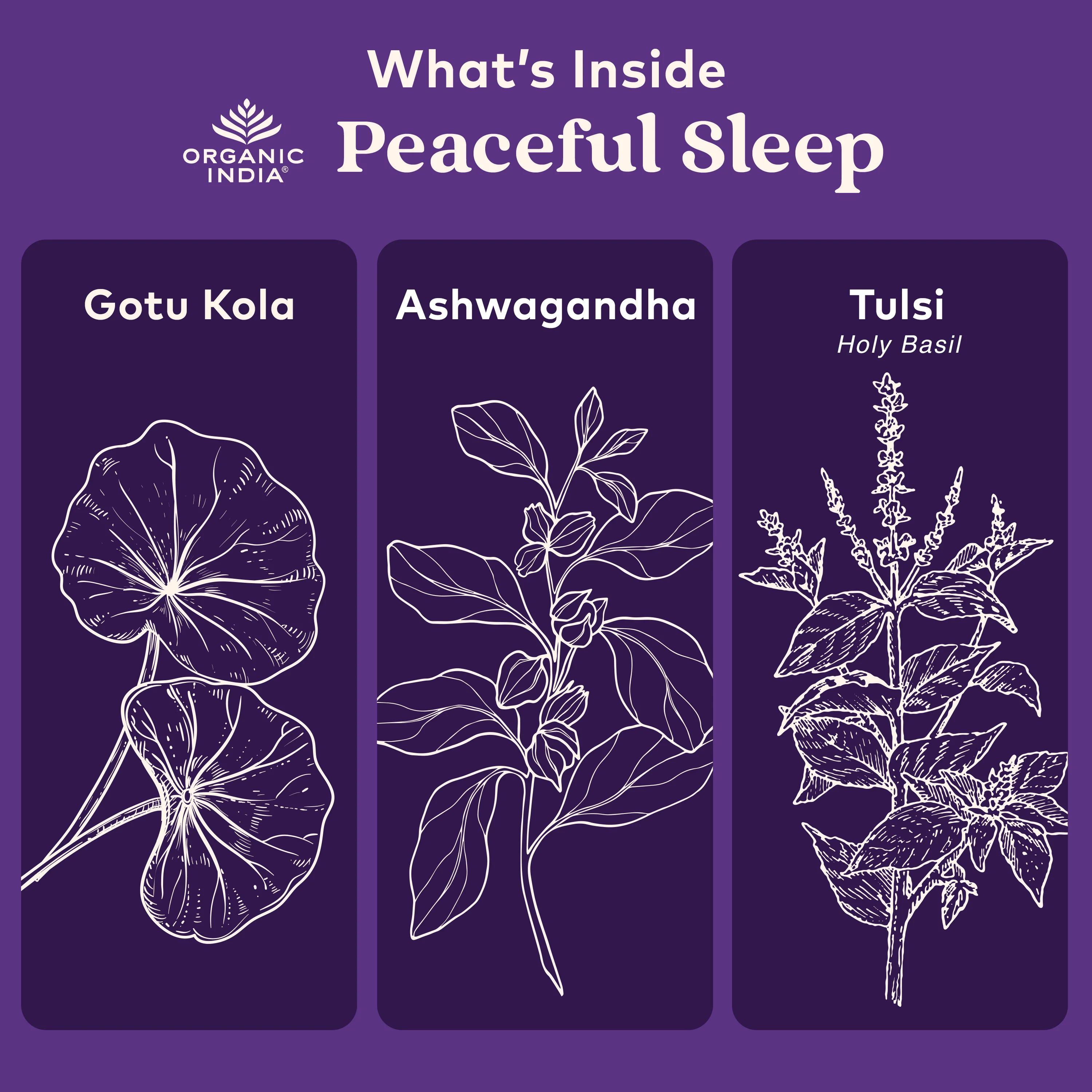 Peaceful Sleep Capsules - Image 3