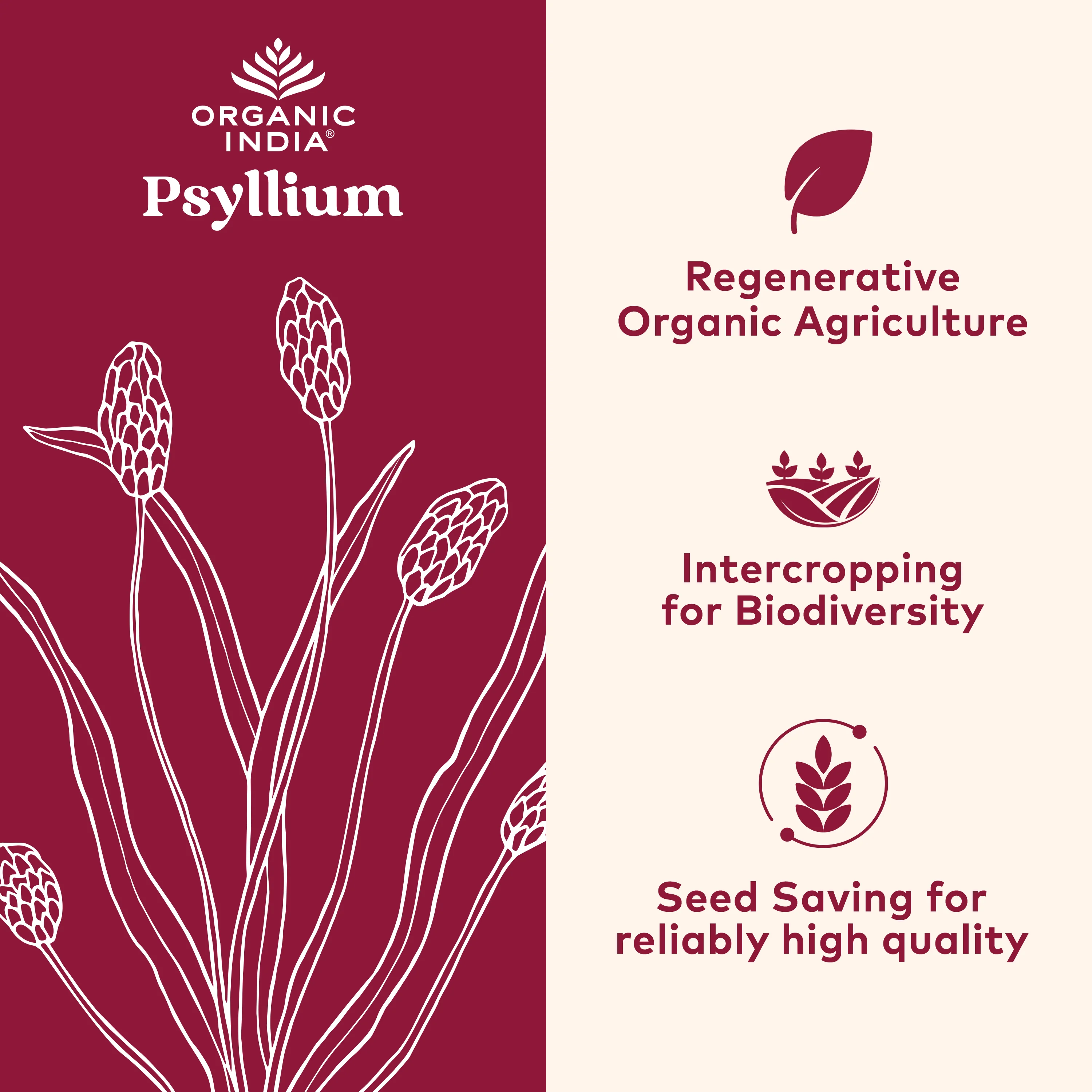 Psyllium Powder - Image 4