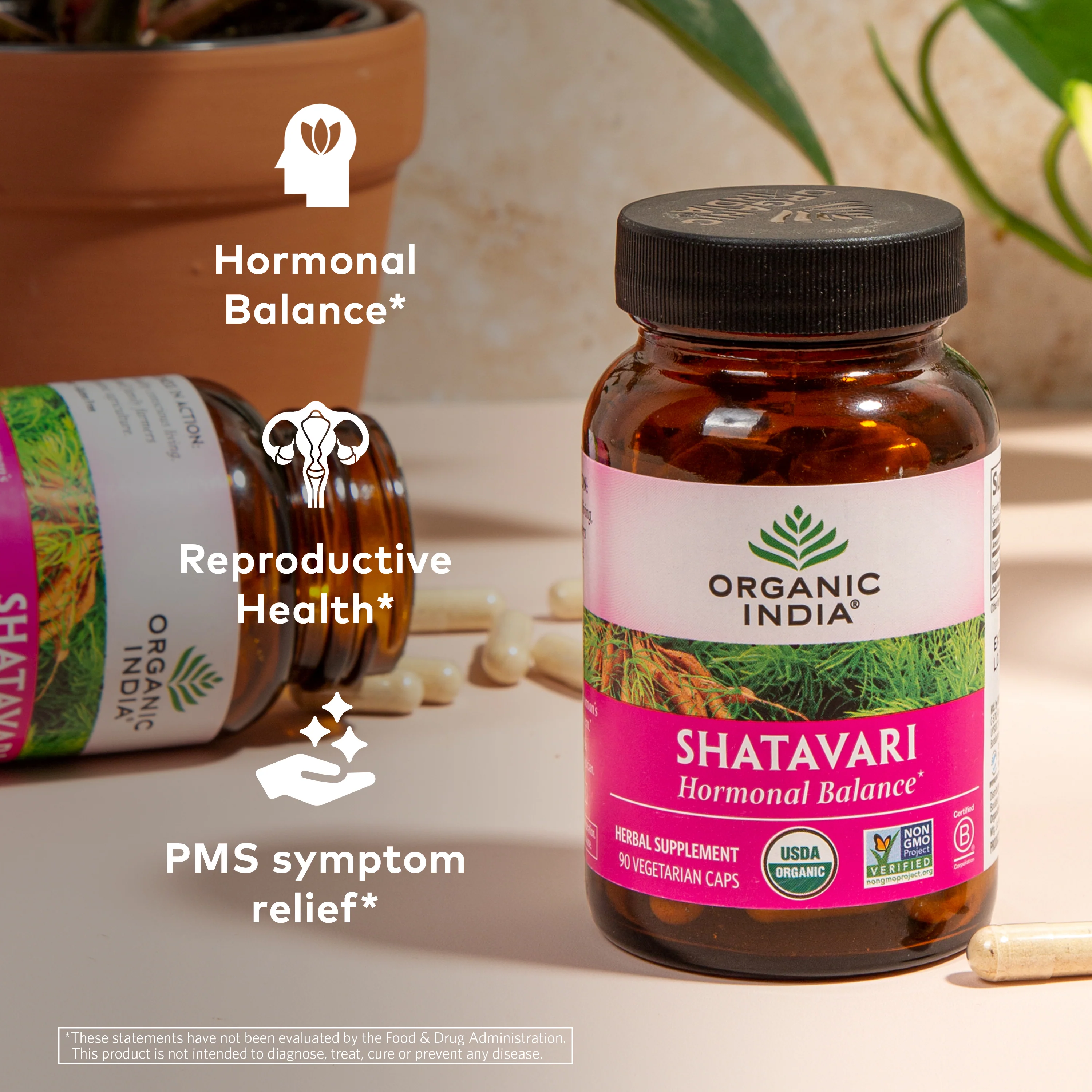 Shatavari Capsules - Image 11