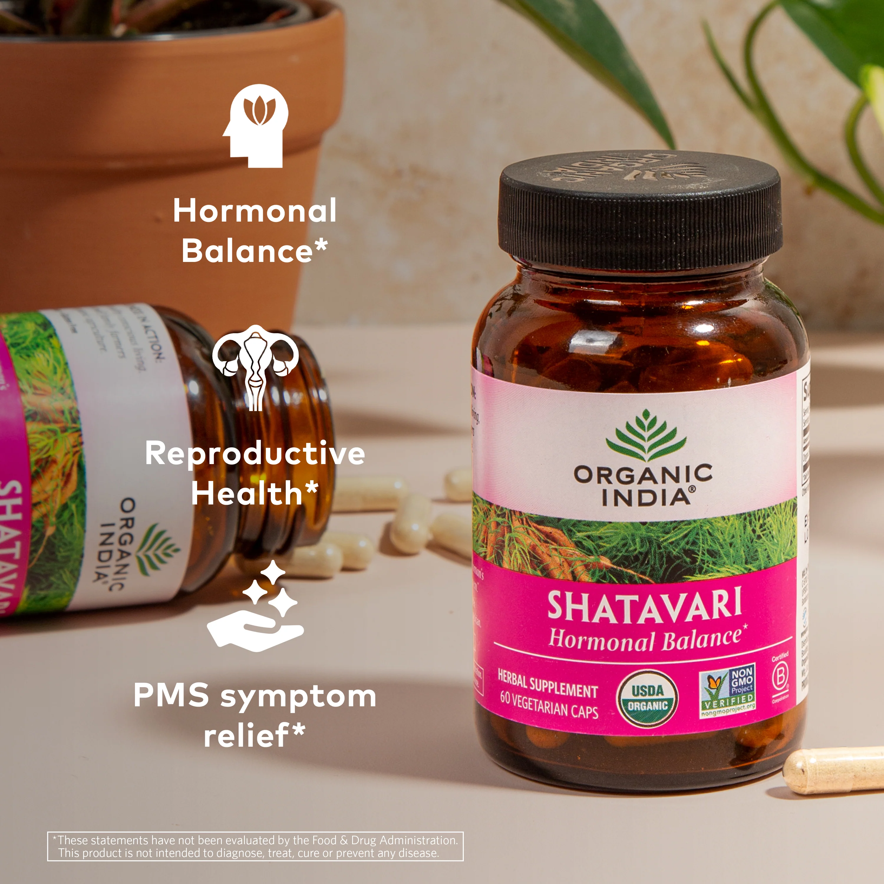 Shatavari Capsules - Image 3