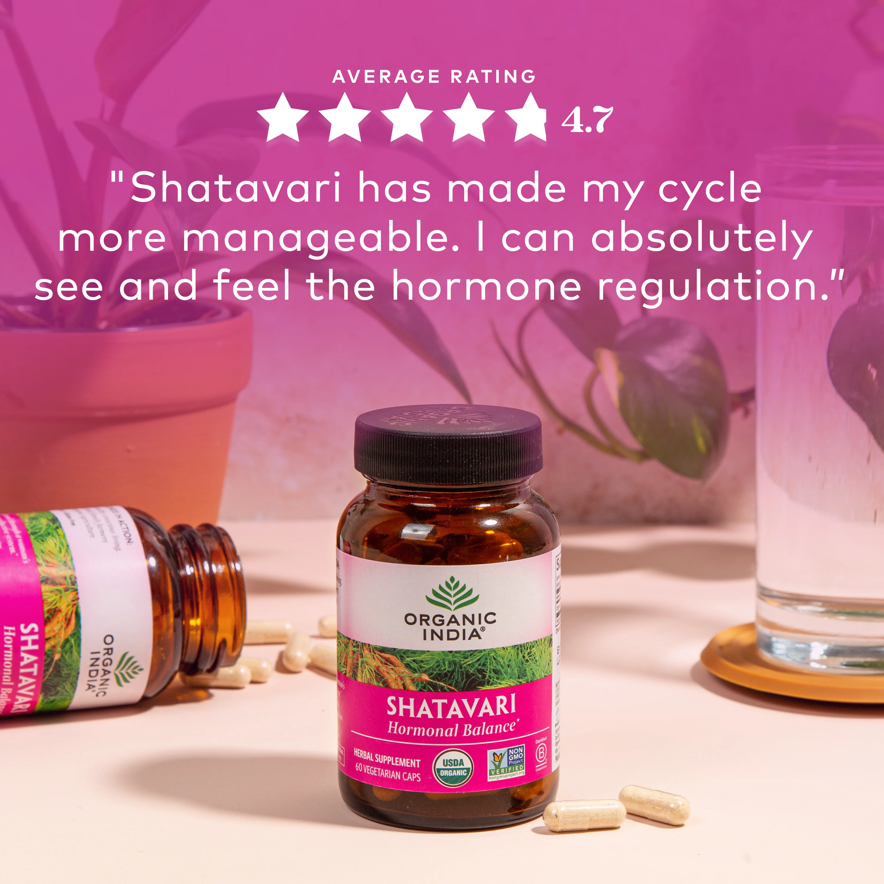 Shatavari Capsules - Image 4
