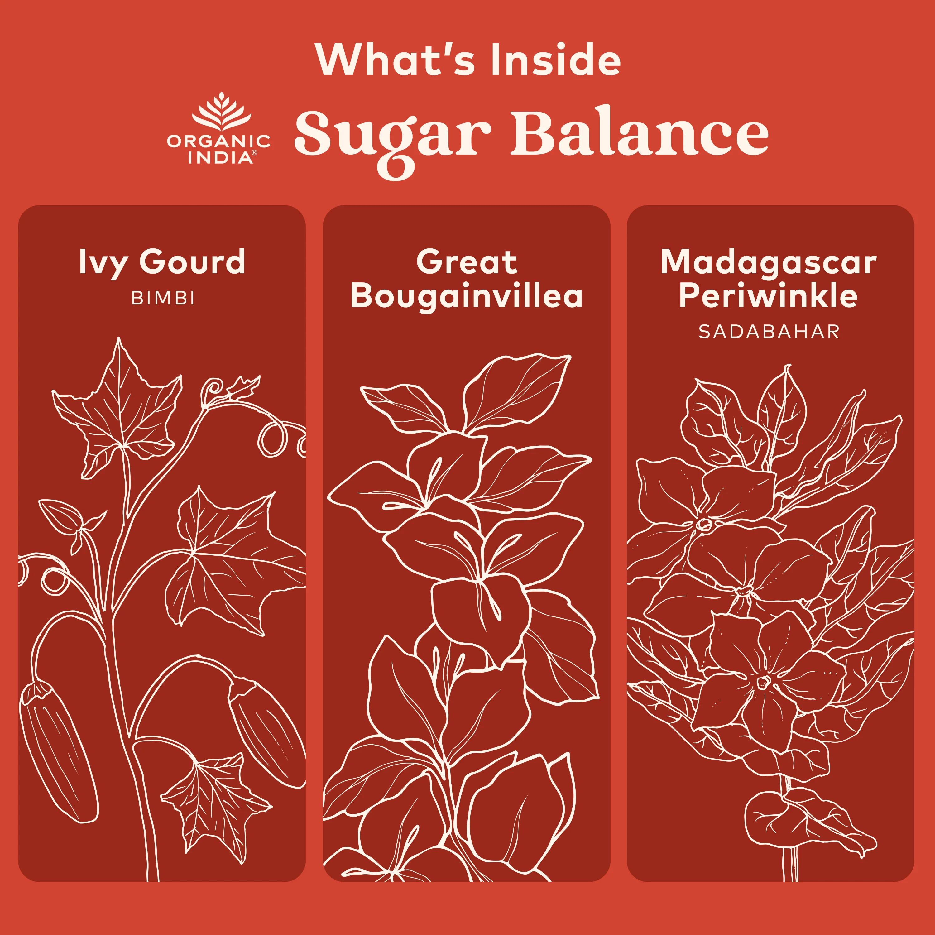 Sugar Balance Capsules - Image 3