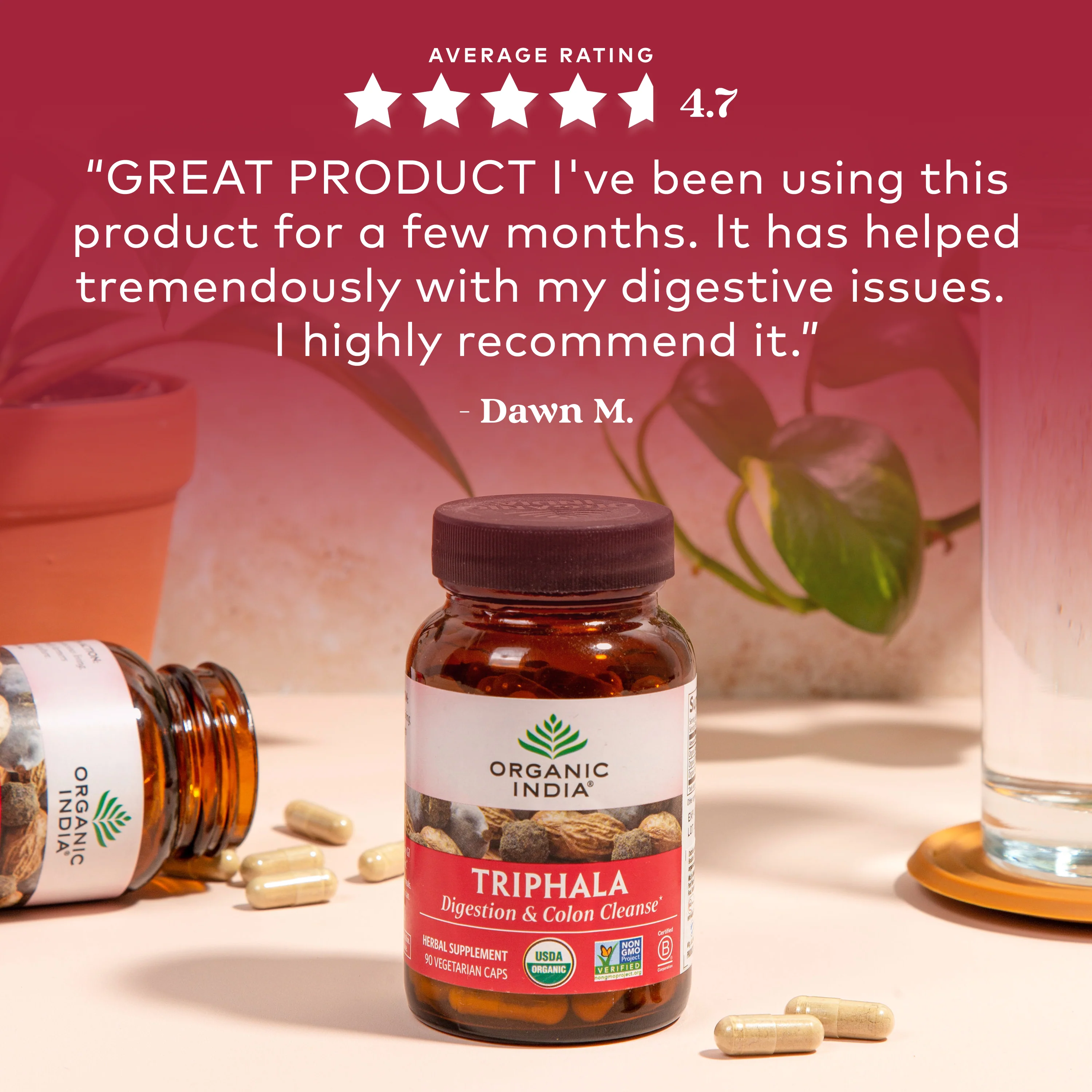 Triphala - Image 4