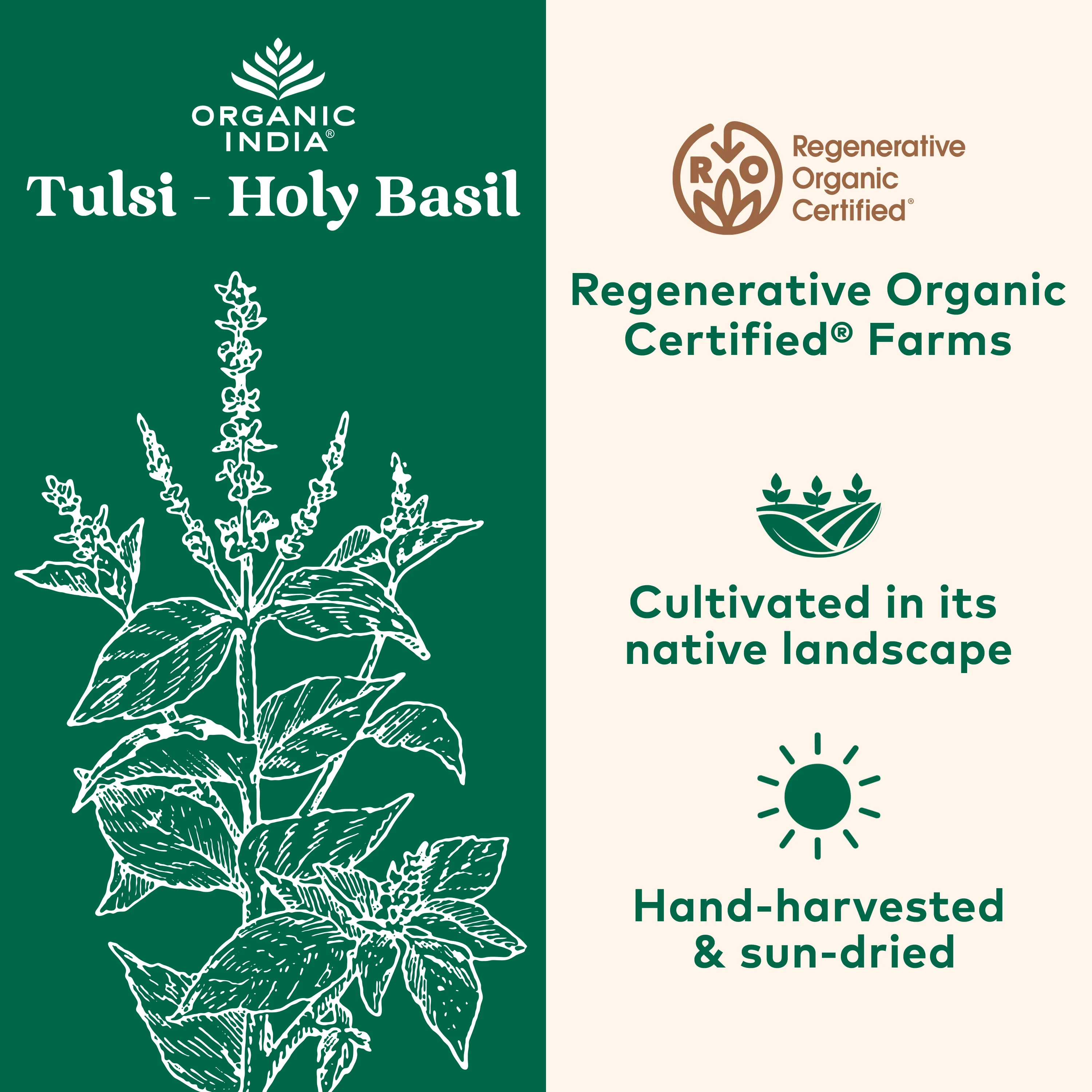 Tulsi Capsules - Image 10