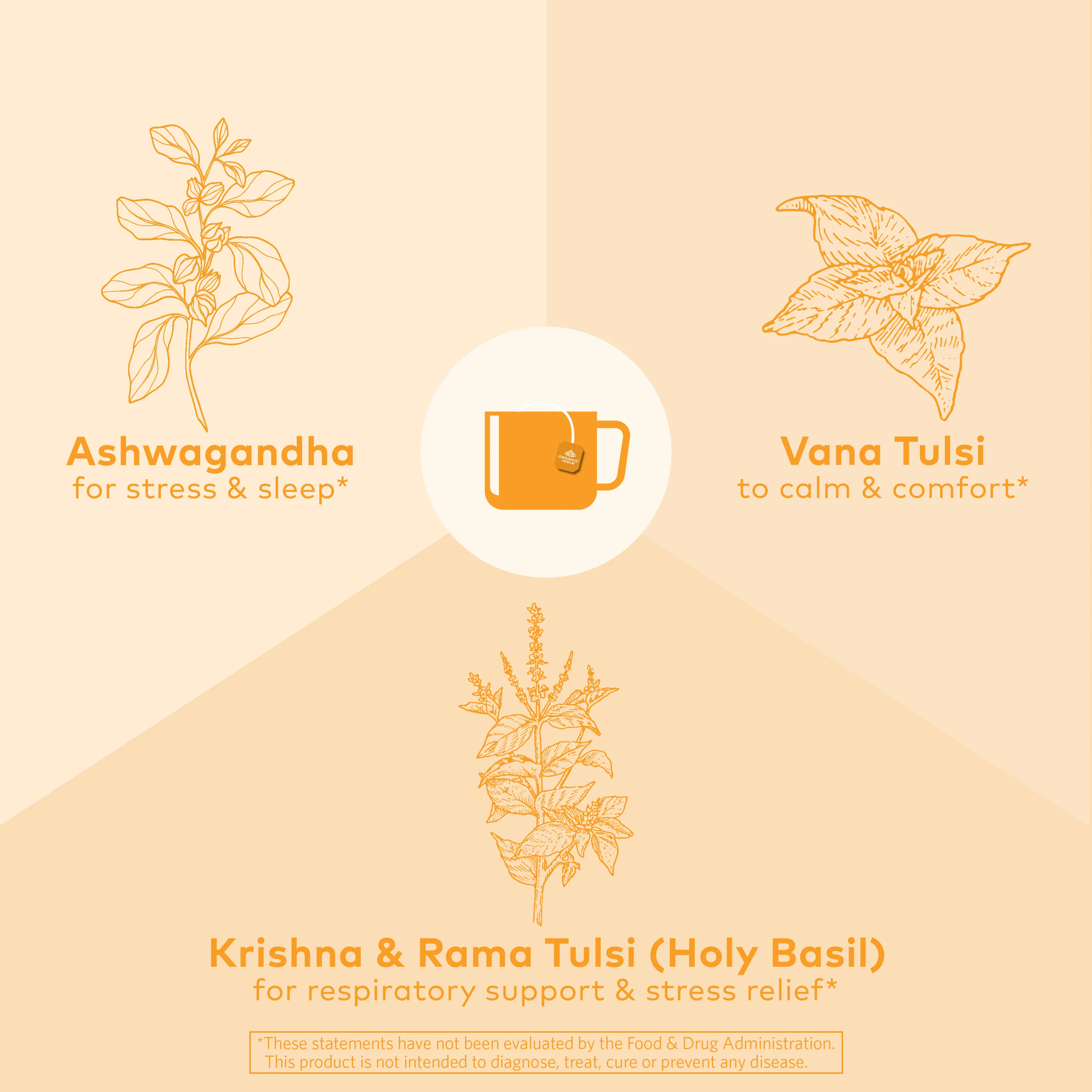 Tulsi Ashwagandha Tea - Image 3