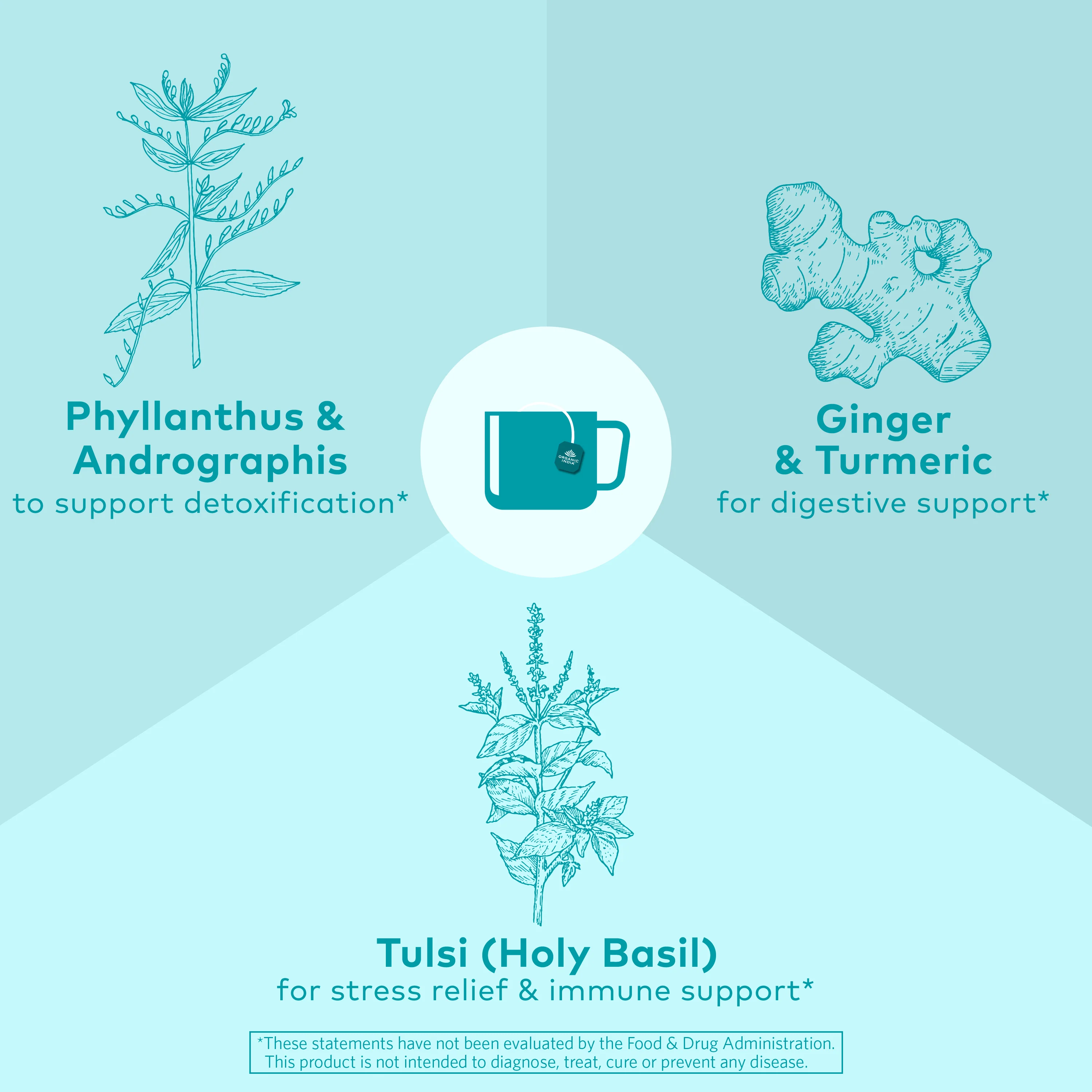 Tulsi Cleanse Tea - Image 3