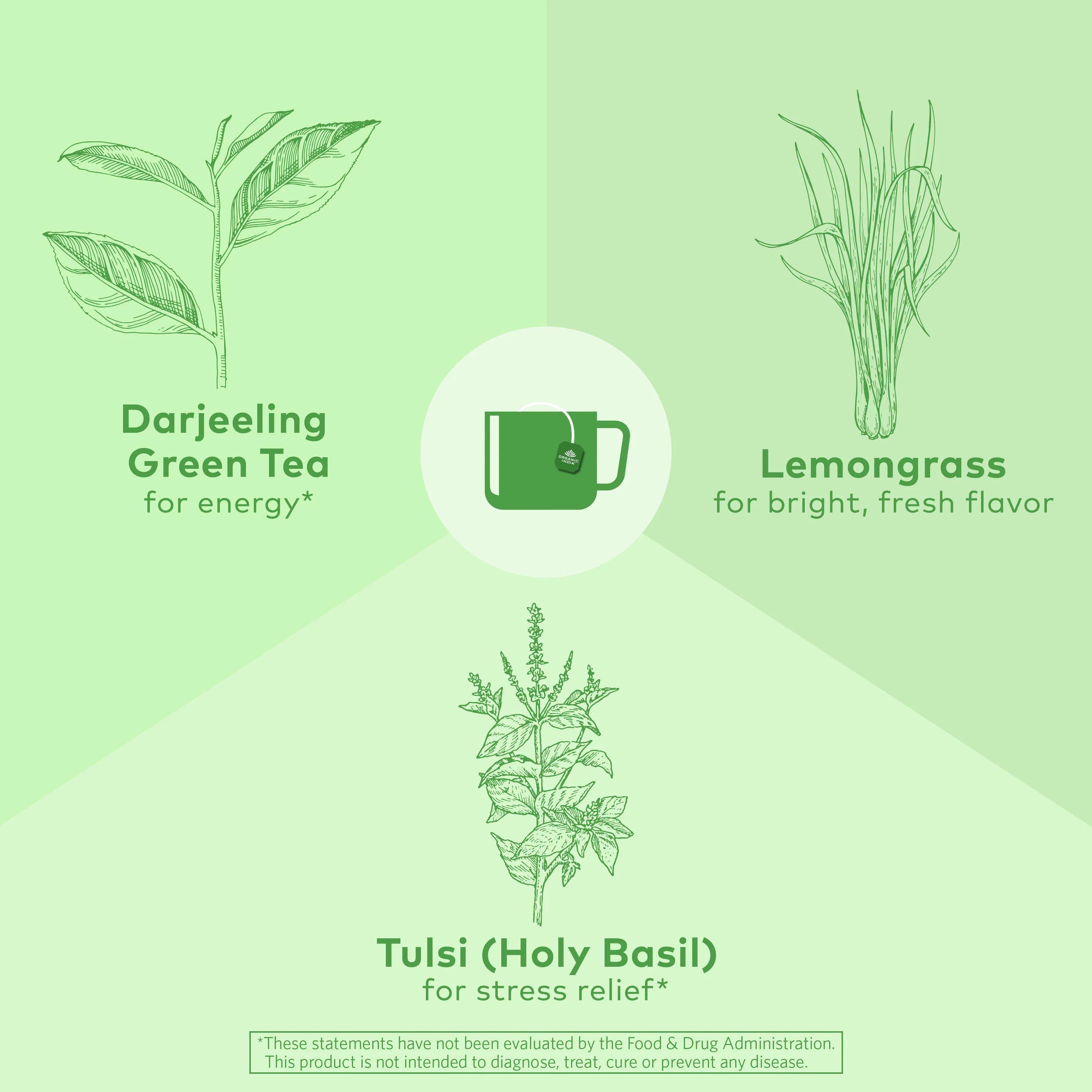 Tulsi Green Tea - Image 4
