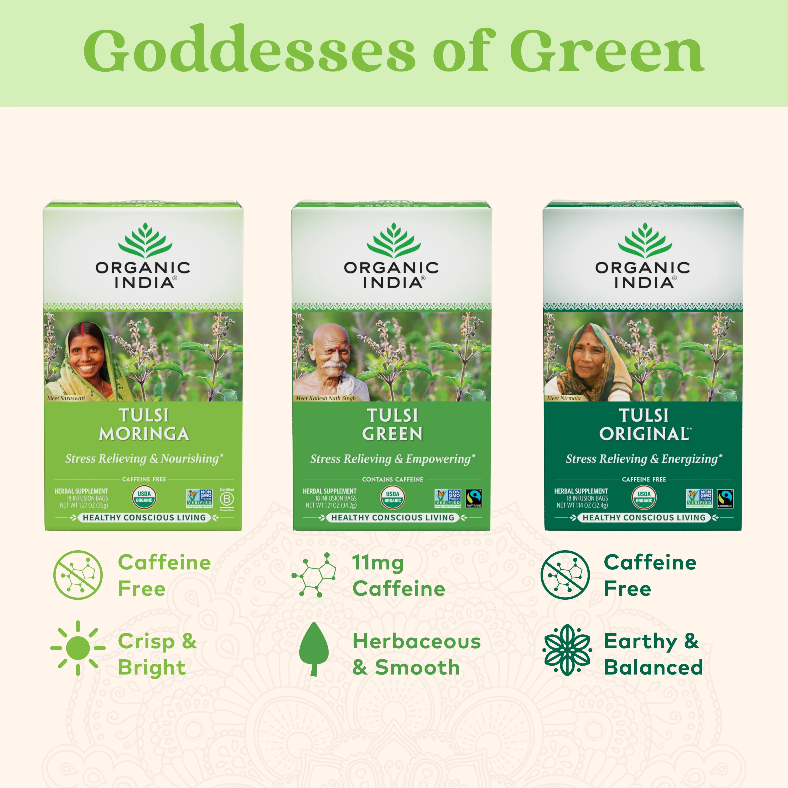 Tulsi Moringa Tea - Image 7