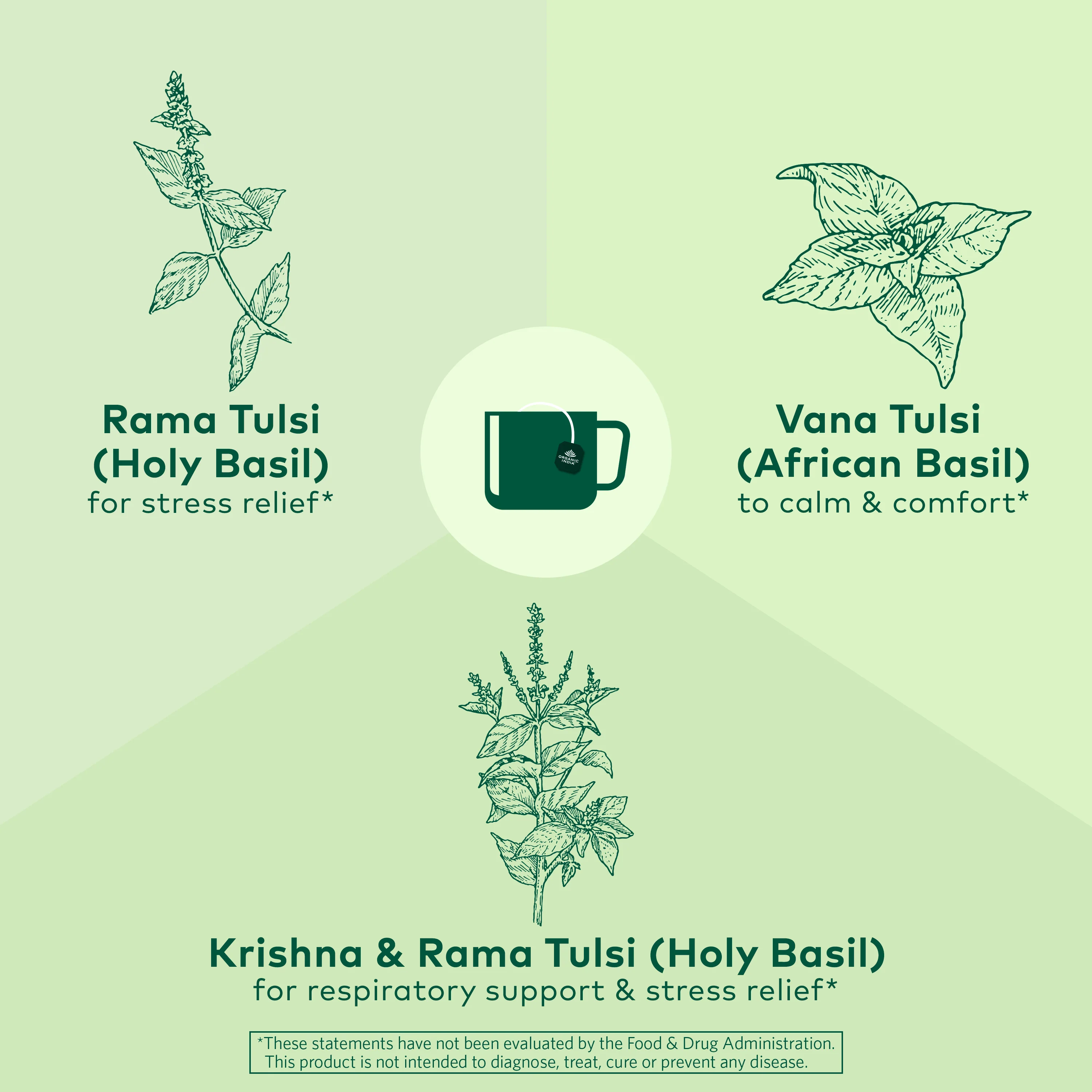Tulsi Original Tea - Image 3