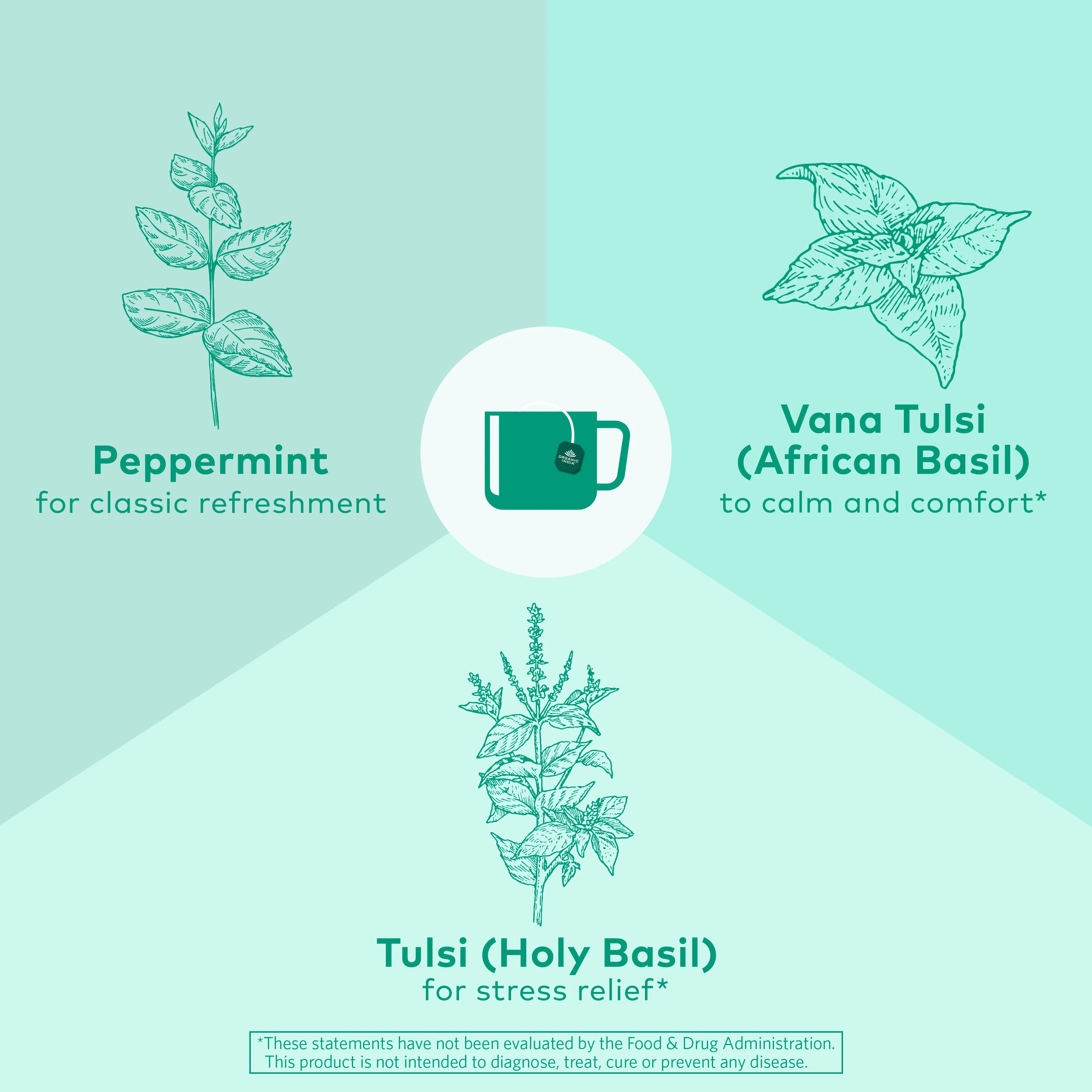 Tulsi Peppermint Tea - Image 3