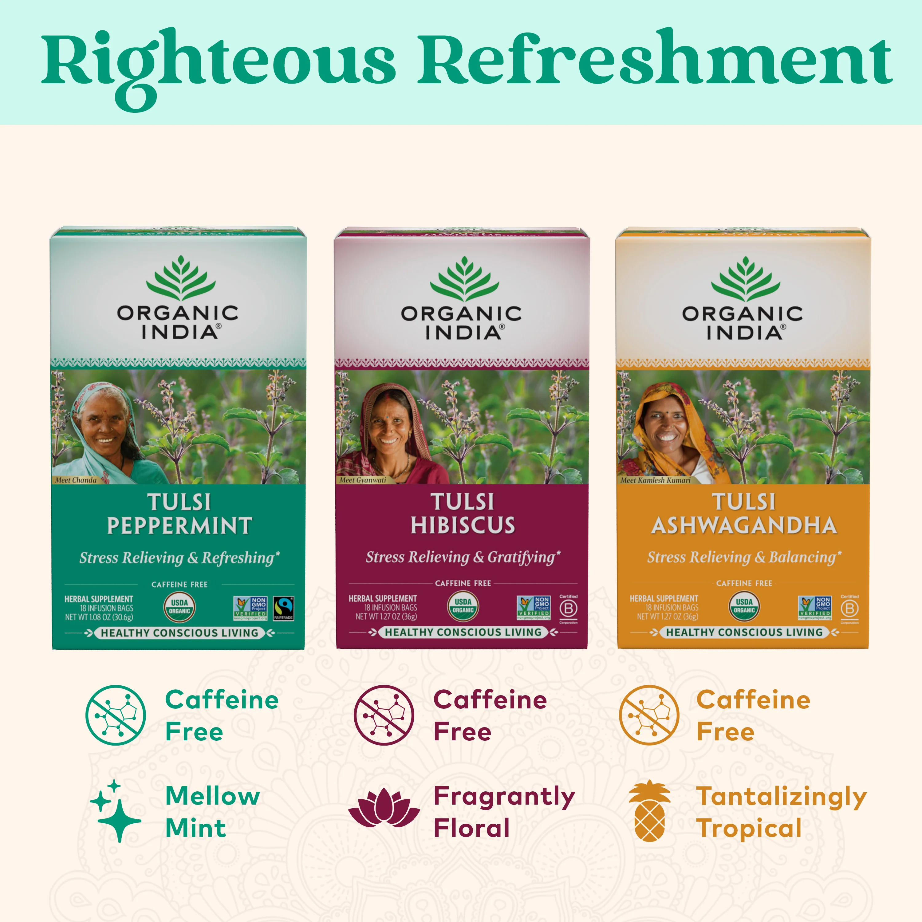 Tulsi Peppermint Tea - Image 7