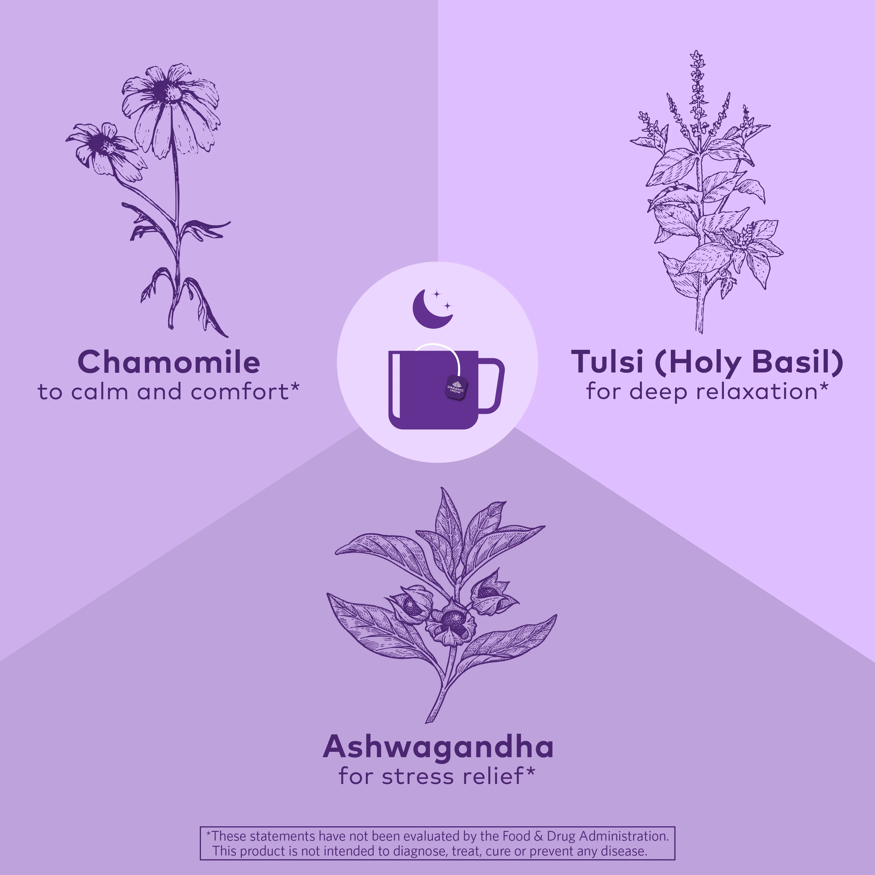 Tulsi Sleep Tea - Image 3