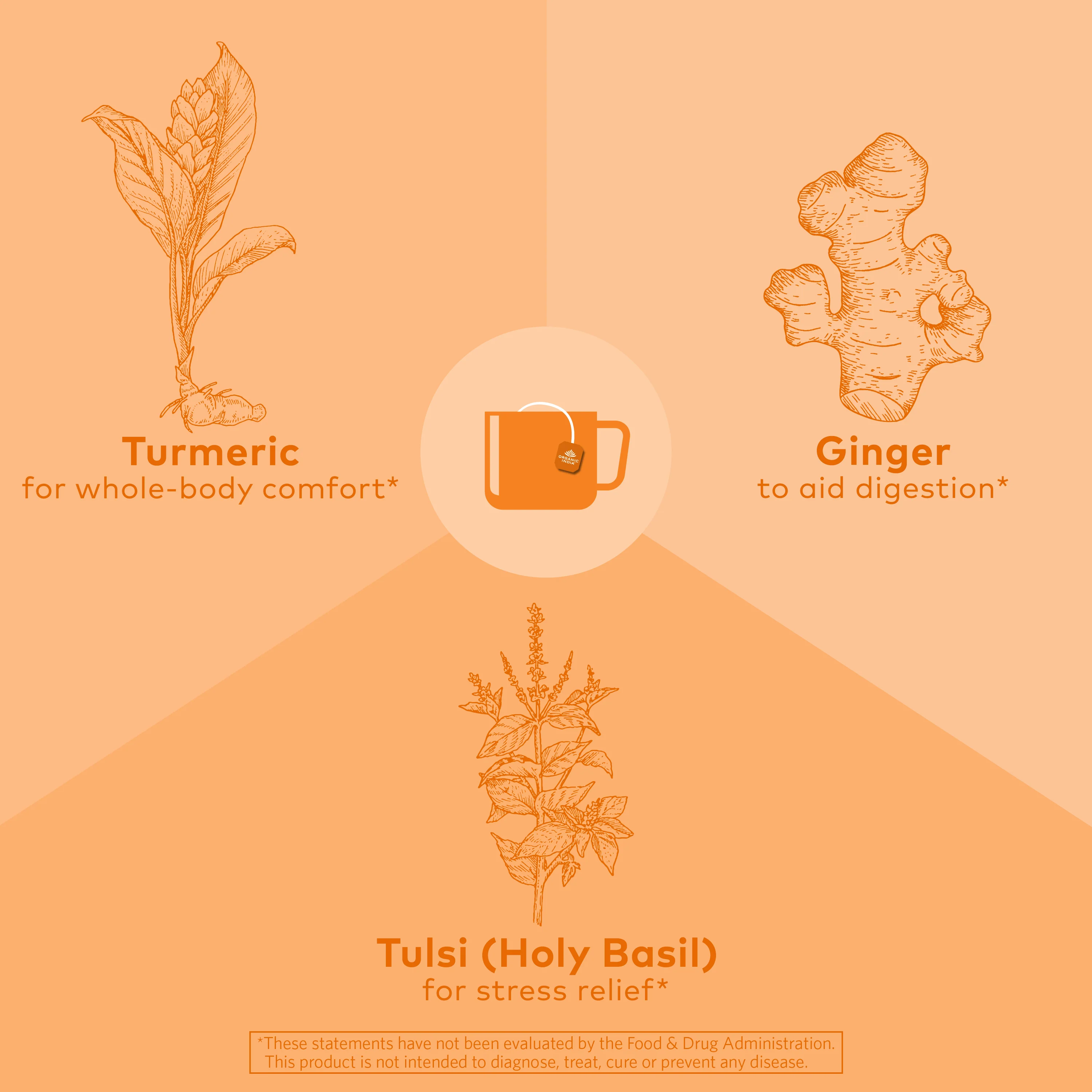 Tulsi Turmeric Ginger Tea - Image 3